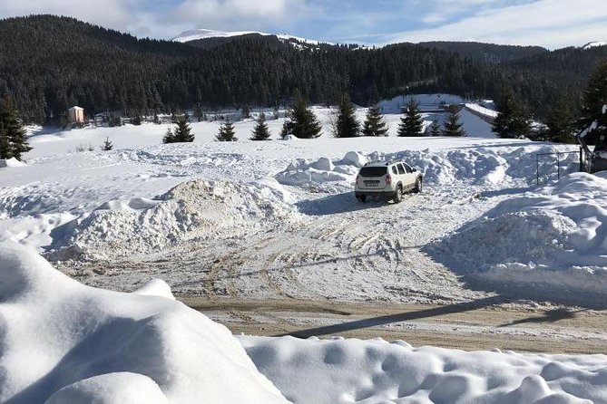 1 Day 4x4 Tour in Carpathian Mountains - Bucegi Natural Park for Free: What Five Hours Feels Like