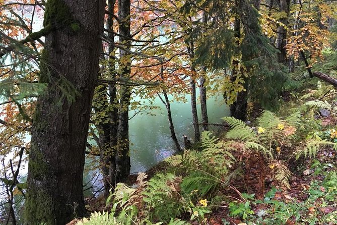 1 Day 4x4 Tour in Carpathian Mountains - What You Get in the Price, and What You Should Budget for