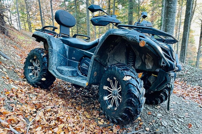 1 Day ATV Tour in Carpathian Mountains - ATV plus castles for $228.29, what that price really buys
