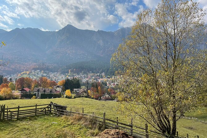 1 Day ATV Tour in Carpathian Mountains - Who this 1-day ATV tour is best for