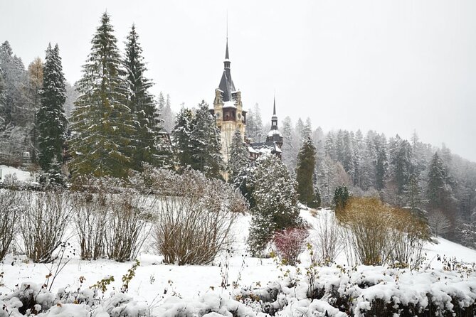 1 Day Castles Tour - Sinaia and Bran - What the guide experience really adds, especially with Vlad