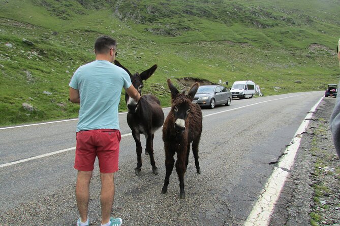 10 Days Private Tour in Romania from Bucharest - Voroneț, Humor, Sucevița, Moldovița, the painted monasteries route