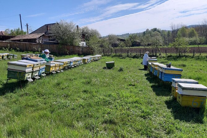 10 hours Private Apiary Tour in Romania - From Bucharest - FAQ