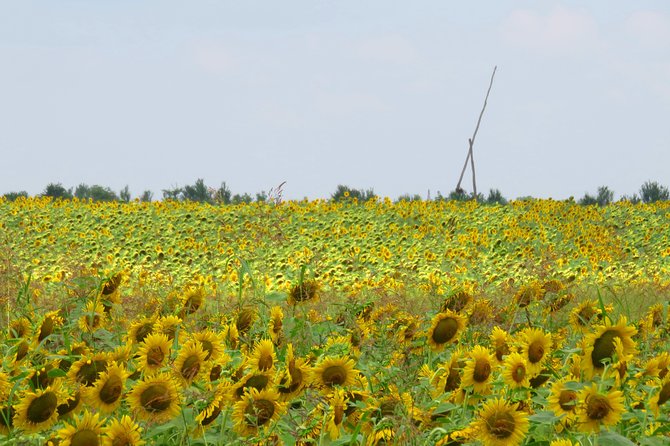 100 km by bike near Bucharest - Meeting at Mogosoaia Palace, and why the start time matters