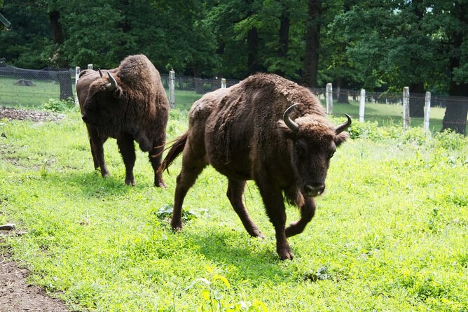 15 Days Private Tour in Romania, Moldova and Transnistria - Fortified churches and medieval towns in Transylvania