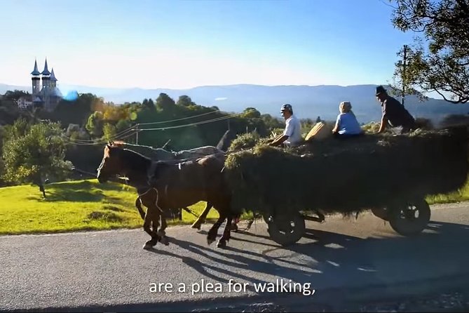 2 Days Private Tour Transfagarasan Road & Sibiu from Bucharest - Getting out of Bucharest: pickup and the private ride