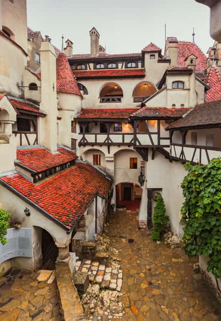 3 Castles Bus Tour: Peleș, "Wednesday" & Dracula Castles - Guide quality and language support on the road