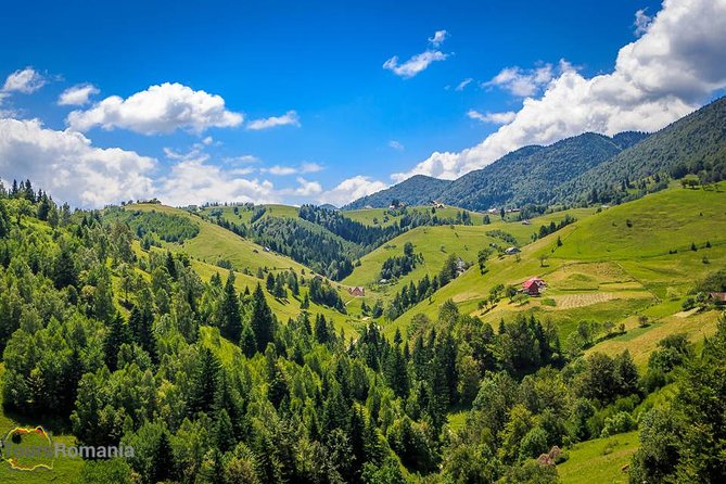 3-Day Tour from Bucharest: Transylvania Villages and Medieval Towns - Why the car-based format matters more than you think