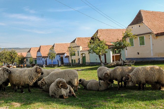 3 day Tour: Medieval Transylvania with Half Board - A three-day Medieval Transylvania route that actually makes sense