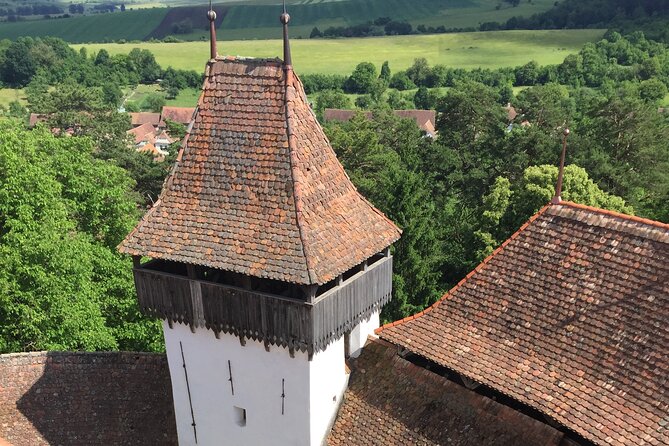 4-Day Private Tour: Bucharest to Budapest via Transylvania - Day 3: Alba Iulia Citadel, Corvin Castle, and Timisoara