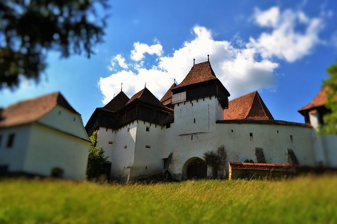 4-Day Private Tour in Transylvania from Bucharest - Your guide-driver and the pace you should expect