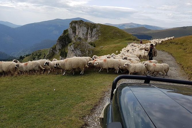 4x4 Driving Experience at Flying Altitudes - 7 Days - Day 5: Transalpina’s King’s Road, Devil’s Pathway Passes, Vidra Lake, and Marginimea Sibiului