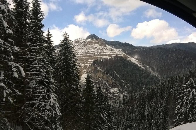4x4 Private 2-days Tour of the Carpathian Mountains from Bucharest - Why a Private Bucharest to Carpathians 4x4 Works Better Than Touring by Bus