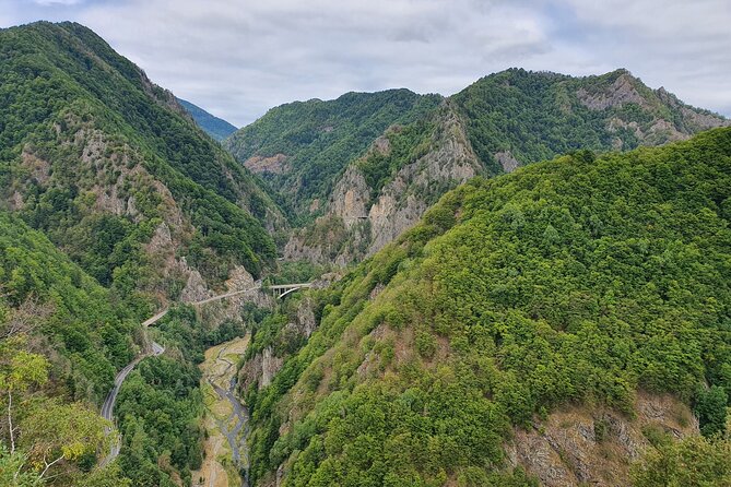 6 Days Private Tour in Romania Spectacular Places from Bucharest - What makes the experience stand out: Nicolas and the art of good conversation