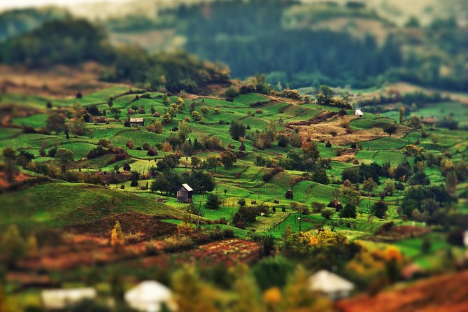 A Journey Back in Time: Countryside from Transylvania and Maramures - 15 Days - Bran, Rasnov, and the bear sanctuary: legends with real context