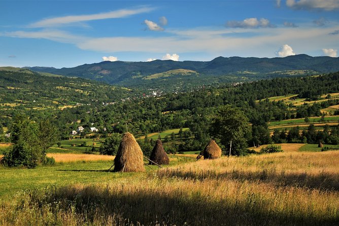 A Journey Back in Time: Countryside from Transylvania and Maramures - 15 Days - Biertan, Valea Viilor, and Alma Vii: fortified churches day by day