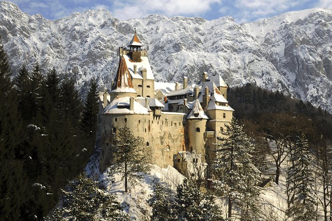 Adventure trip to Transylvania in 3 days from Bucharest - Muntele Tampa bear spotting with a ranger: quiet behavior helps