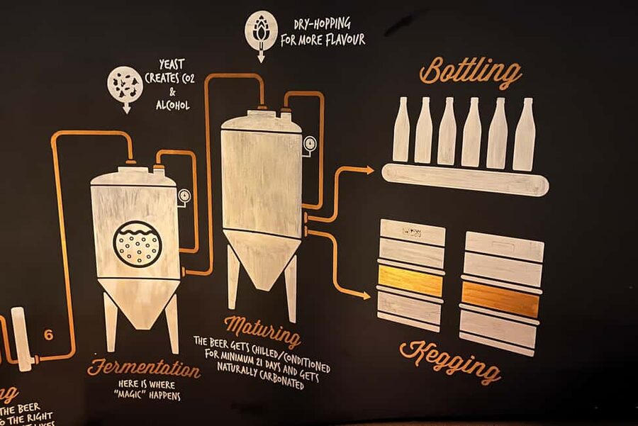 Artisanal Beer Tasting - The Booking Reality: Timing, Duration, and Starting Location in Bucharest