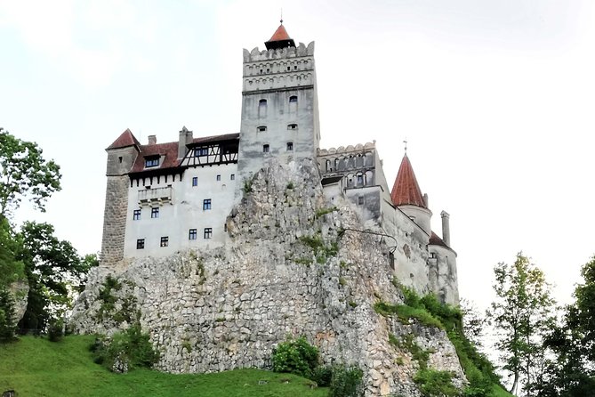 Bear Sanctuary and Dracula's Castle, 1-day Private Tour - Price and budgeting: what $276.04 covers and what you’ll add on
