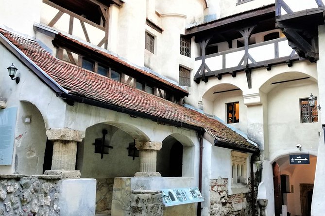 Bear Sanctuary and Dracula's Castle, 1-day Private Tour - Should you book this bear and castle day trip?