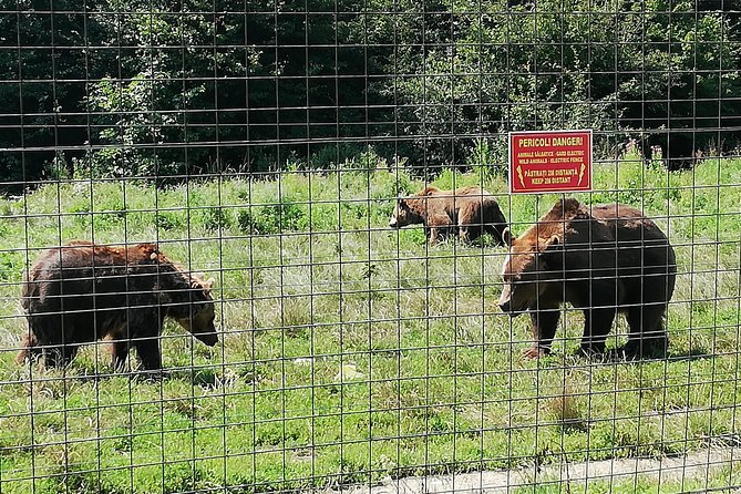 Bear Sanctuary and Dracula's Castle, 1-day Private Tour - FAQ