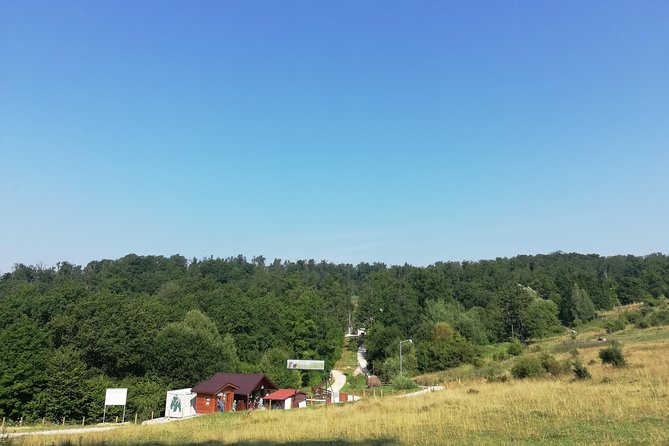 Bear Sanctuary and Dracula's Castle, 1-day Private Tour - Bran Castle and the Dracula myth: medieval facts you can actually use