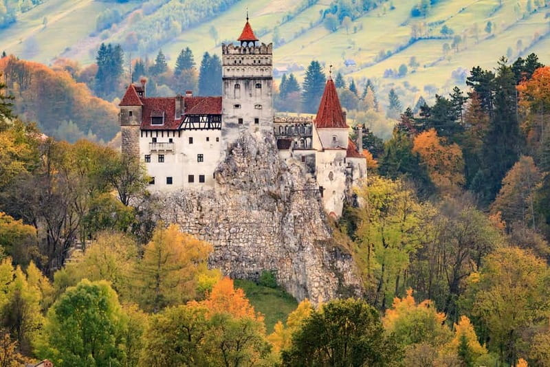 Bear Sanctuary, Dracula's Castle and Brasov | Private Tour - From Bucharest Pickup to the Carpathians, Day One Starts Early
