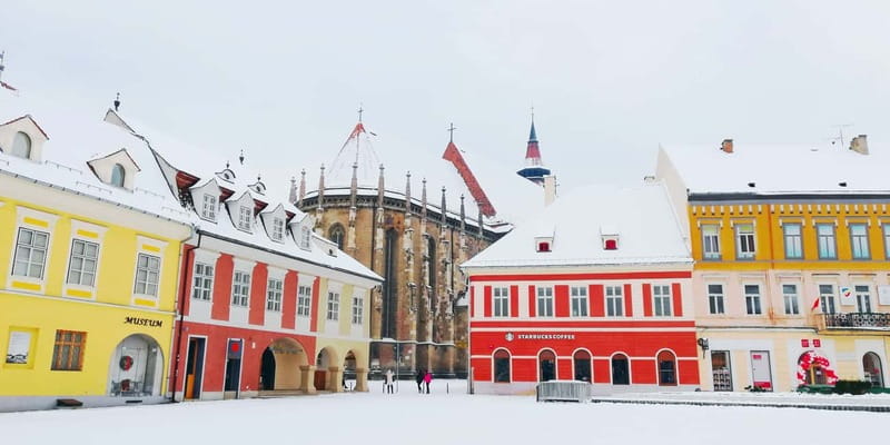 Bear Sanctuary, Dracula's Castle and Brasov | Private Tour - Bran Castle: Dracula’s Legend, and the Part You Might Not Expect