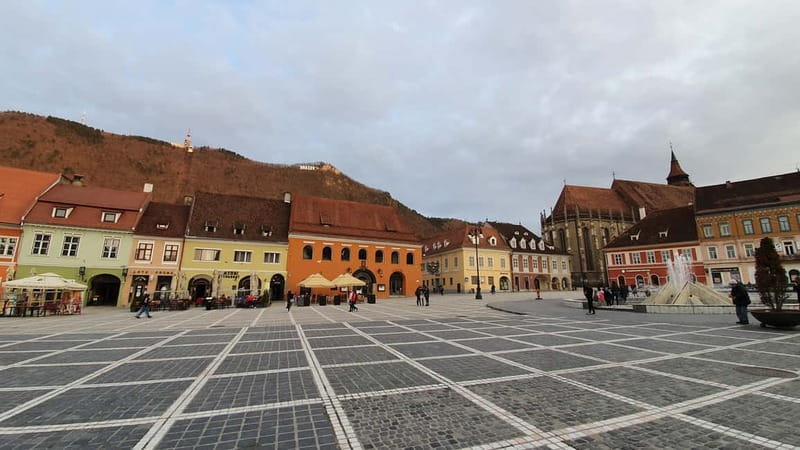 Bear Sanctuary, Dracula's Castle and Brasov | Private Tour - Who This Tour Fits Best, and Who Should Skip It