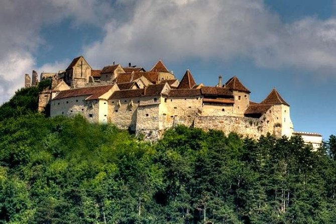 Bear Sanctuary & Rasnov Fortress - Private day tour from Bucharest - Why the Private Guide Changes Everything on a 10-Hour Day