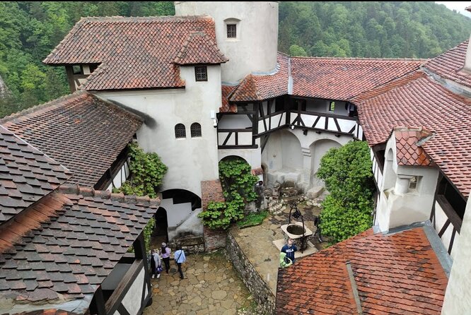 Bears Sanctuary, Dracula's Castle and Brașov City - Private Tour - From Bucharest in one day: why this combo makes sense