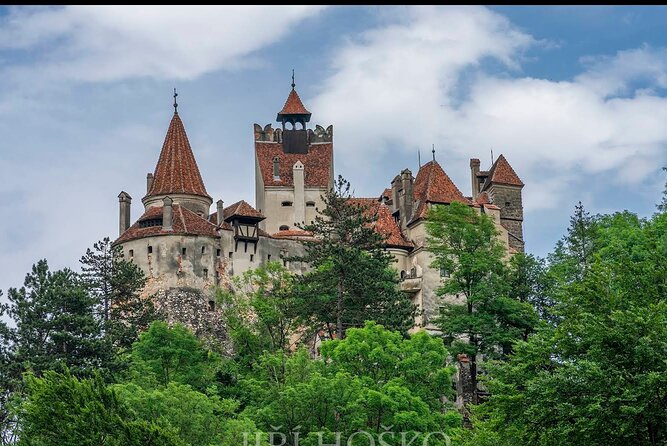 Bears Sanctuary, Dracula's Castle and Brașov City - Private Tour - Libearty Bear Sanctuary: seeing rescue work done the right way