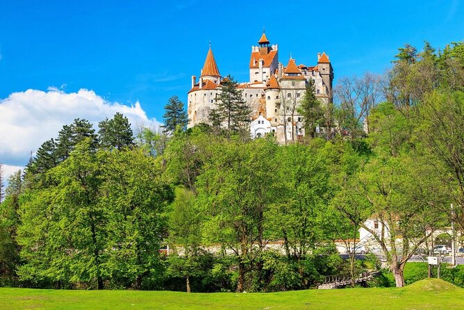 Bears Sanctuary, Dracula's Castle, Brasov Day Trip Private Tour from Bucharest - Key highlights worth planning for