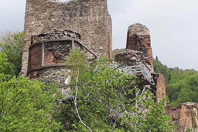 Bears Sanctuary, Dracula's Castle, Brasov Day Trip Private Tour from Bucharest - Should you book this private day trip?