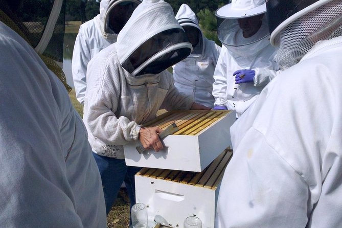 Beekeeping Day Trip| Private Guided Tour from Bucharest - Key things you will notice on this apiary day trip