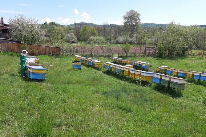Beekeeping Day Trip| Private Guided Tour from Bucharest - Why this bee trip feels different from a standard tour