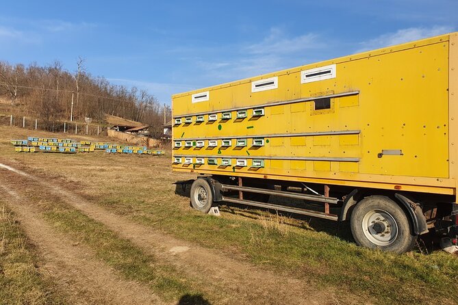 Beekeeping Day Trip| Private Guided Tour from Bucharest - Hive basics and the harvesting demonstration: the work behind the honey