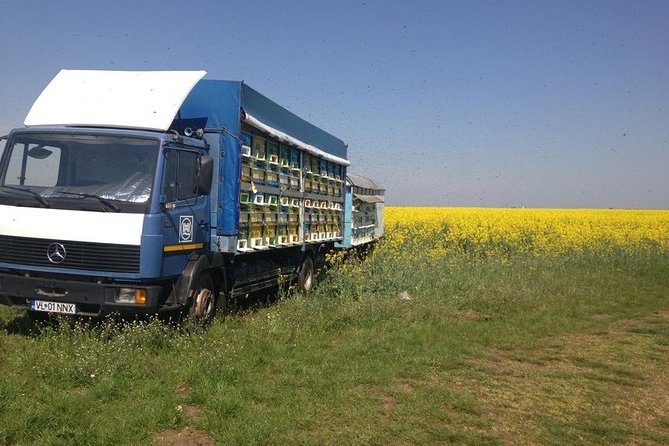 Beekeeping Day Trip| Private Guided Tour from Bucharest - Traditional Romanian lunch made for a countryside day