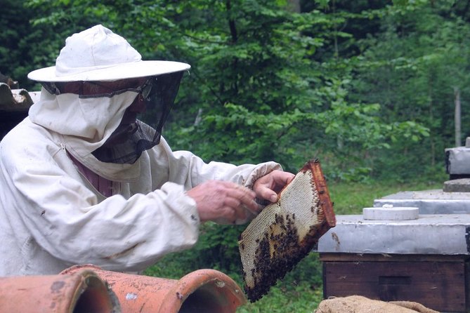 Beekeeping Day Trip| Private Guided Tour from Bucharest - Honeybee products for dessert: turning tasting into understanding