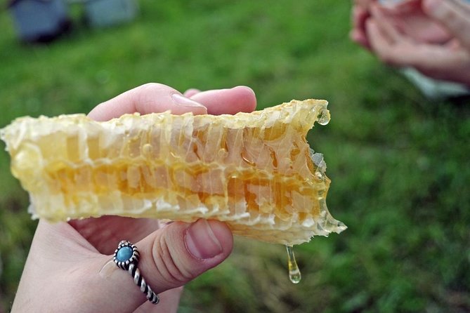 Beekeeping Day Trip| Private Guided Tour from Bucharest - Getting from Bucharest to Vâlcea County, and why the ride matters