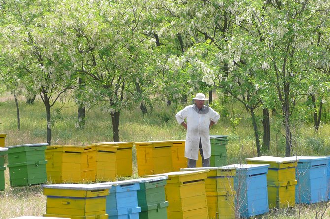 Bees Adventure in Romania - Private Day Trip from Bucharest - Bucharest To Valcea County: Why The Drive Matters