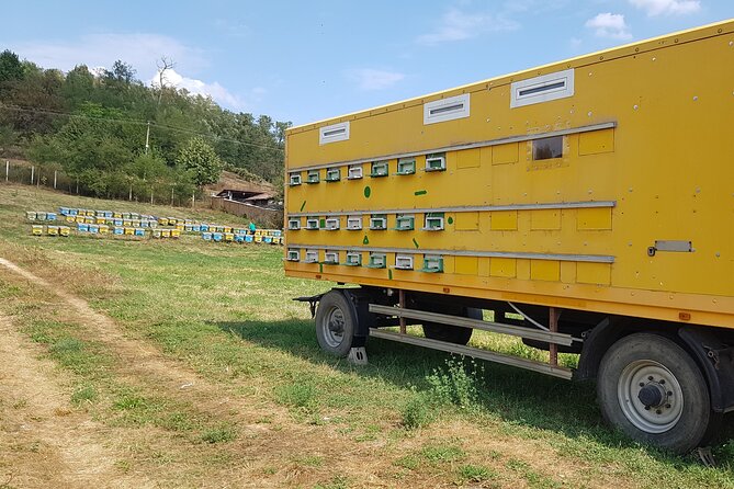 Bees Adventure in Romania - Private Day Trip from Bucharest - Who This Private Bee Day Trip Is Best For