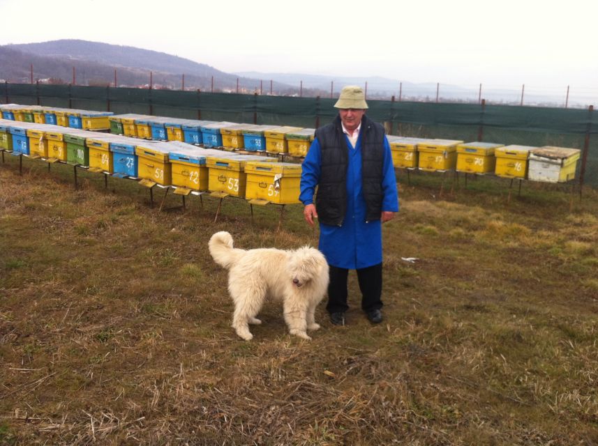 Bees in Romania - Private Beekeeping Lesson and Local Lunch - Practical Tips Before You Go