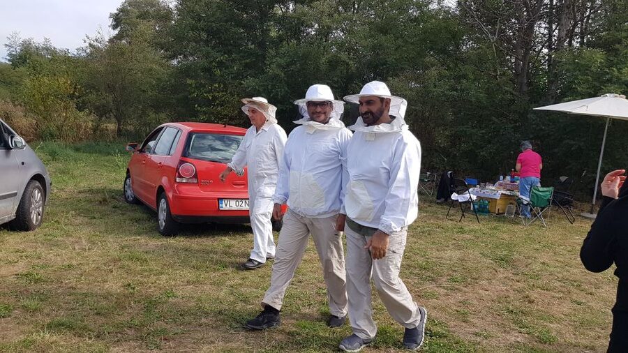 Bees in Romania - Private Beekeeping Lesson and Local Lunch - From Bucharest To An Apiary: How the 8 Hours Really Flow