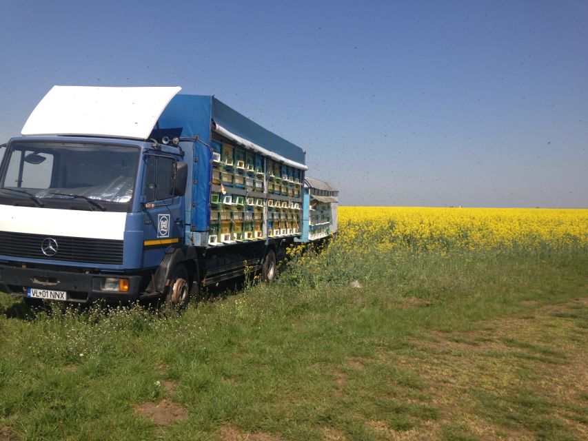 Bees in Romania - Private Beekeeping Lesson and Local Lunch - Beyond Honey: Propolis, Beeswax, Pollen, Bee Bread, and Apilarnil