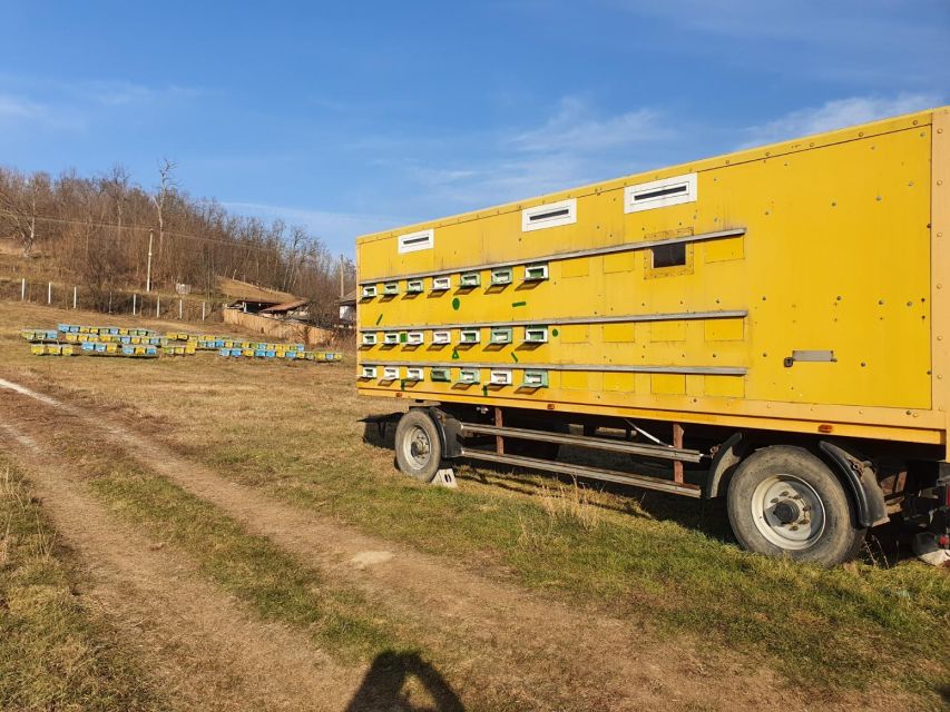 Bees in Romania - Private Beekeeping Lesson and Local Lunch - Price and Value: What You’re Paying For in a $353 Private Day