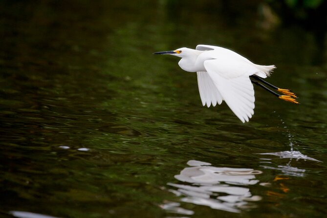 Bird watching in Danube Delta - Private day tour from Bucharest - What to pack for sun, water, and long hours outdoors