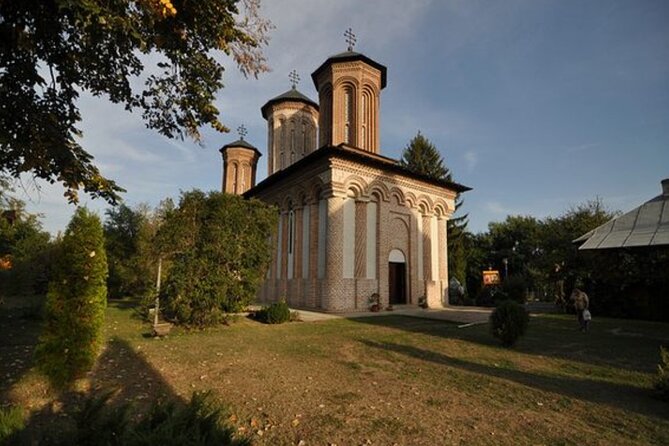 Bison Sanctuary, Vlad the Impaler Princely Court & Dracula Grave - Price and what you get for $153.71 per person