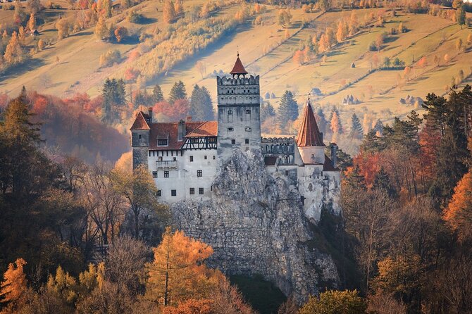 Bran Castle, Peles Castle and Brasov from Bucharest - The bus ride reality: early pickup, air-conditioning, and comfort breaks