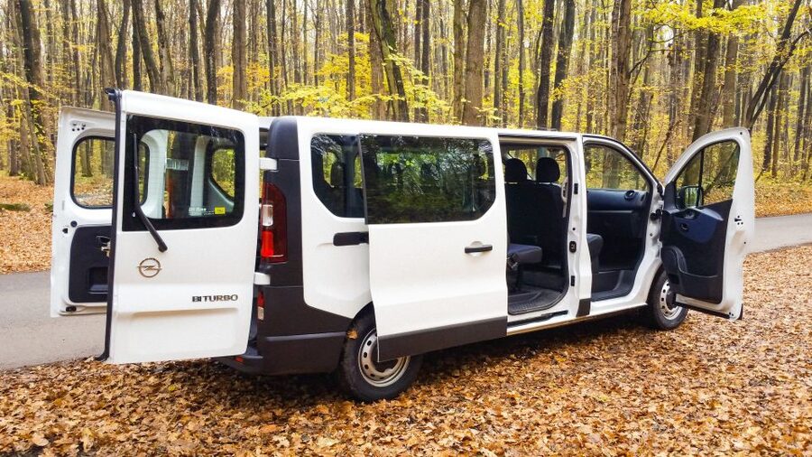 Bucharest 3–Hour Private City Tour - Palace of the Parliament Photo Stop: Fast, Focused, and Worth It